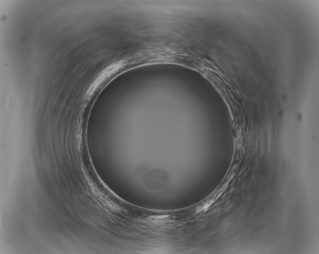 X0000087700054200705181830