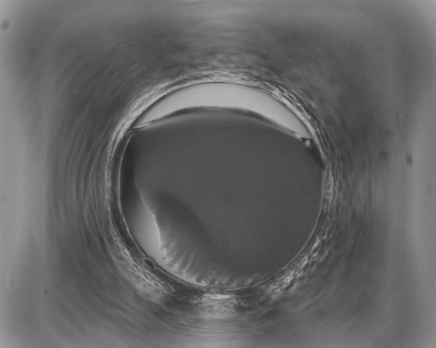 X0000087700055200705181830