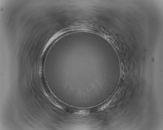 X0000087700056200705181830