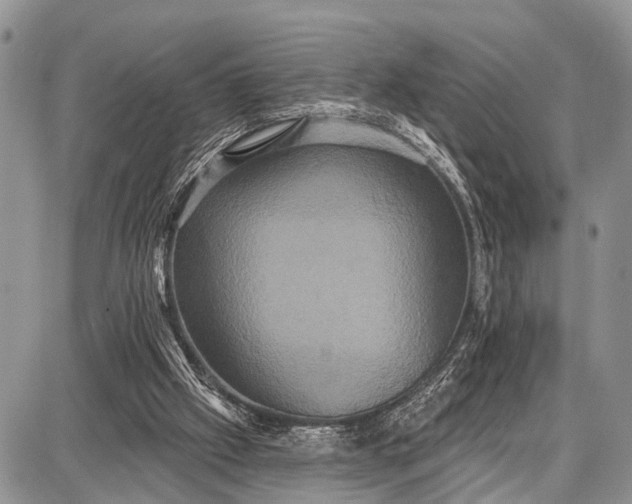 X0000087700057200705181830