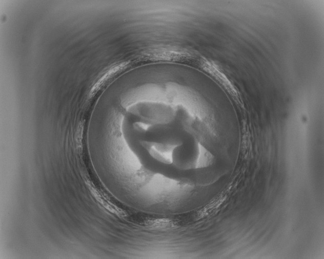 X0000087700058200705181830