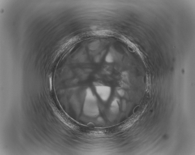 X0000087700061200705181830