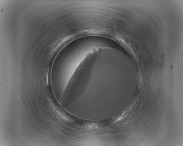 X0000087700062200705181830