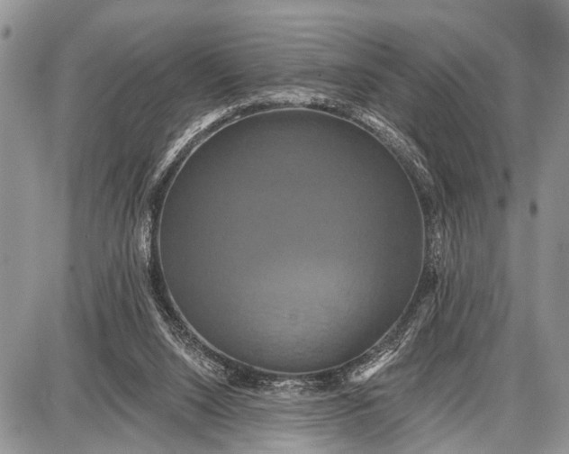 X0000087700064200705181830