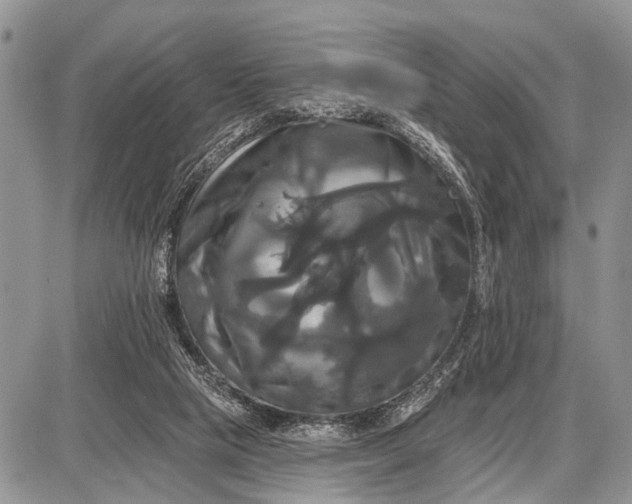 X0000087700065200705181830