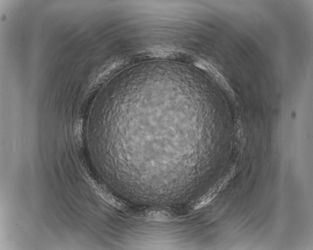 X0000087700066200705181830