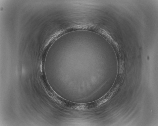 X0000087700068200705181830