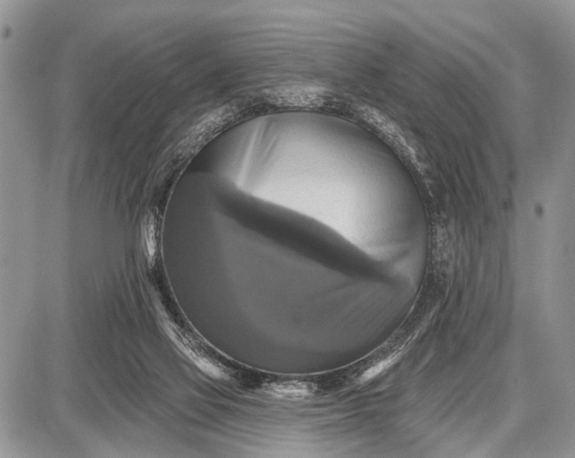 X0000087700069200705181830