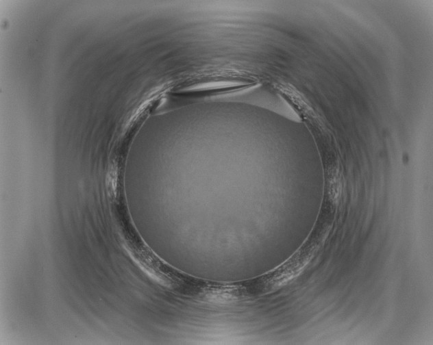 X0000087700072200705181830