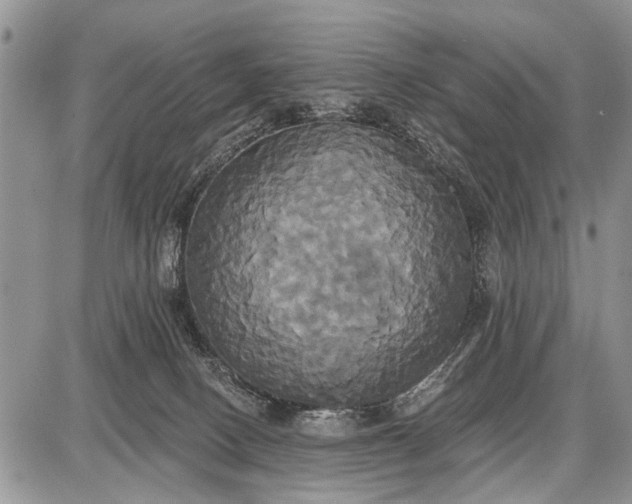 X0000087700082200705181830