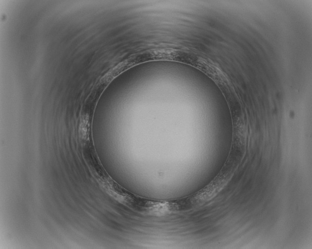 X0000087700083200705181830