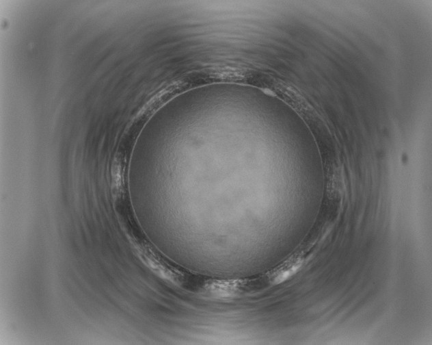 X0000087700084200705181830