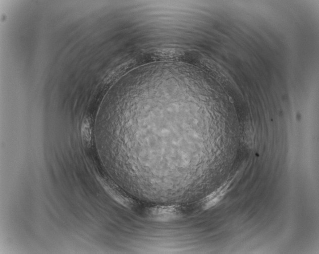 X0000087700086200705181830