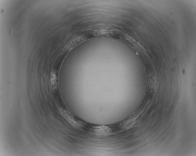 X0000087700087200705181830