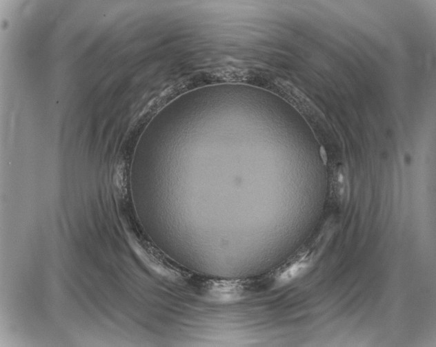 X0000087700088200705181830