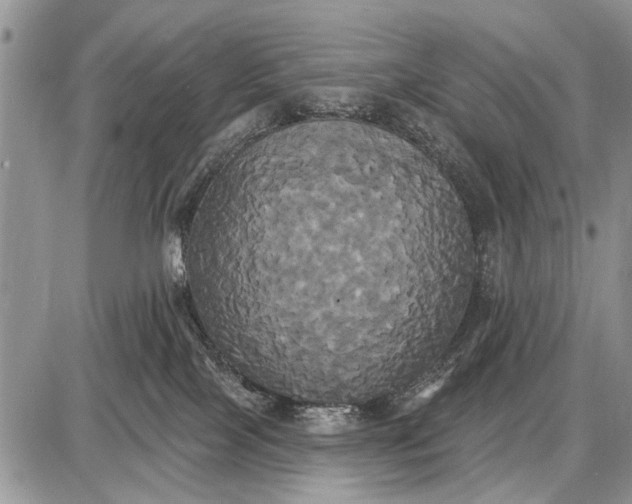 X0000087700089200705181830