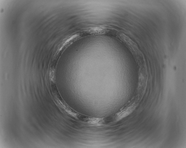 X0000087700096200705181830