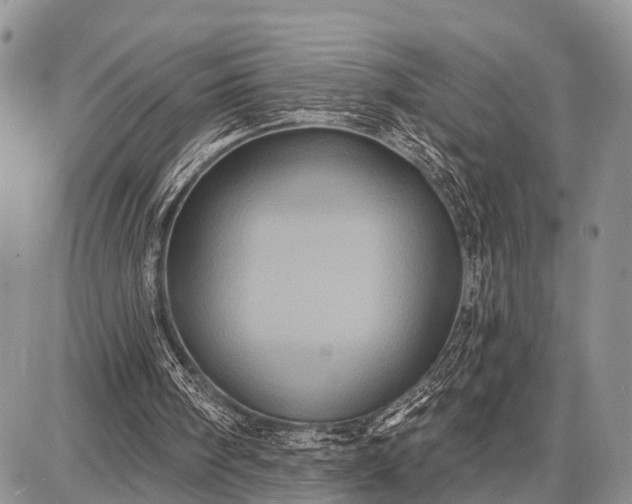 X0000087700098200705181830