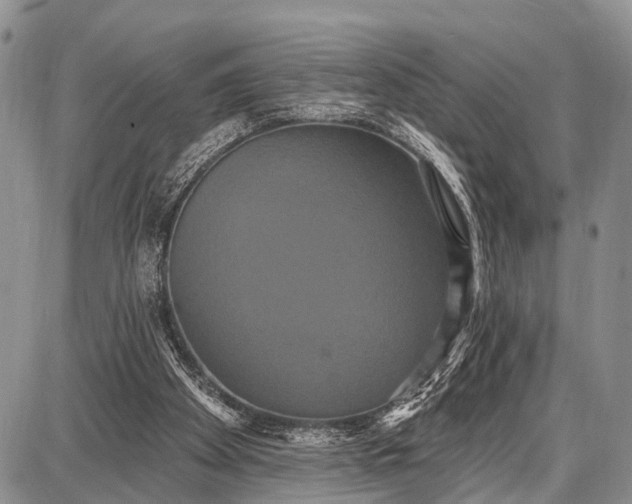 X0000087700105200705181829