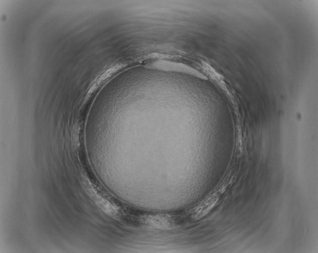 X0000087700106200705181829