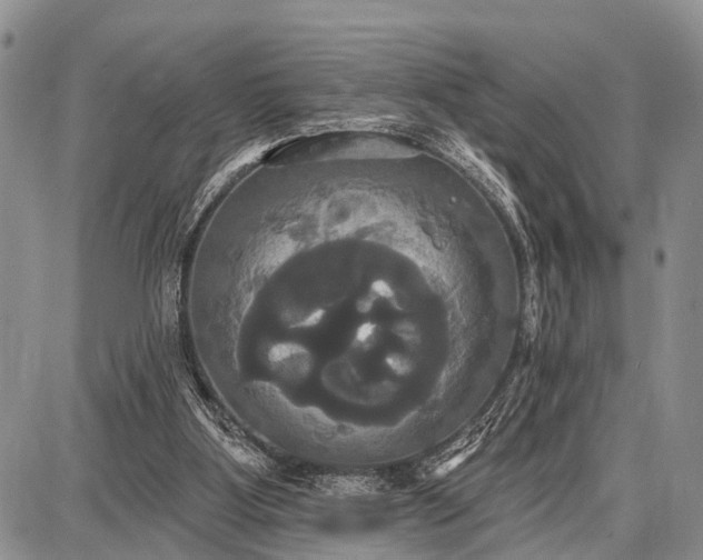 X0000087700107200705181829