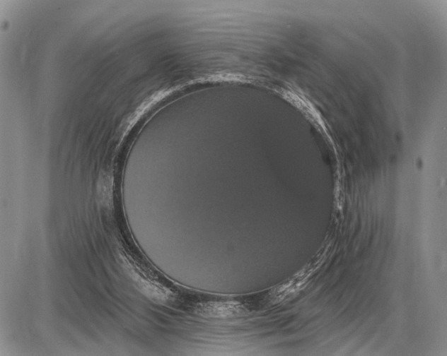 X0000087700108200705181829