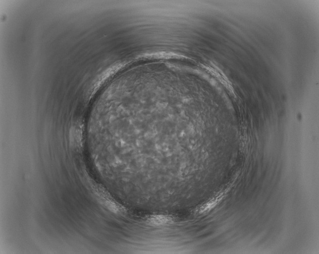 X0000087700111200705181829