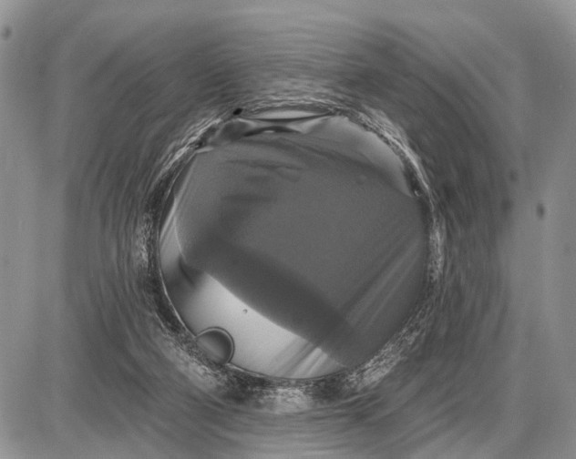 X0000087700114200705181829