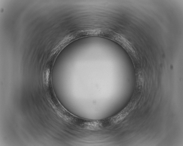 X0000087700118200705181829