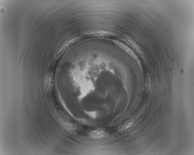X0000087700119200705181829