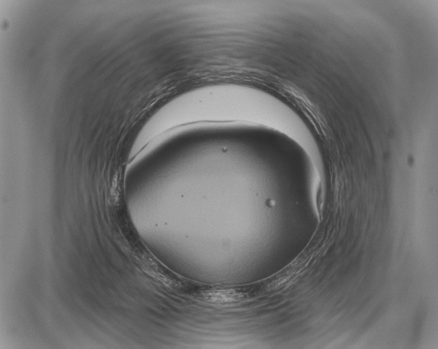 X0000087700121200705181829
