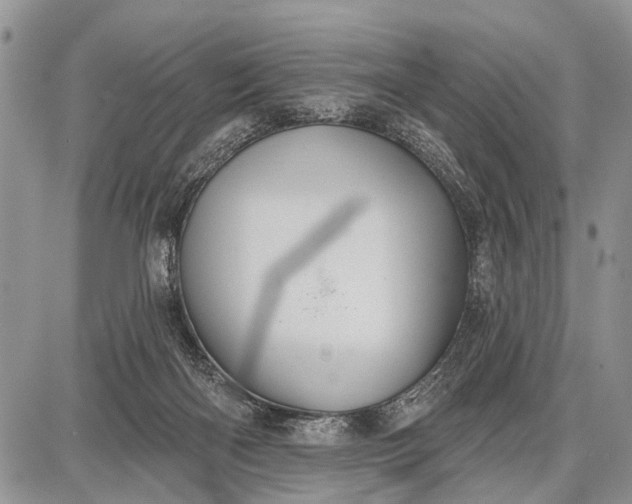 X0000087700122200705181829