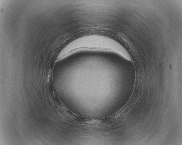 X0000087700125200705181829
