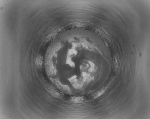 X0000087700135200705181829