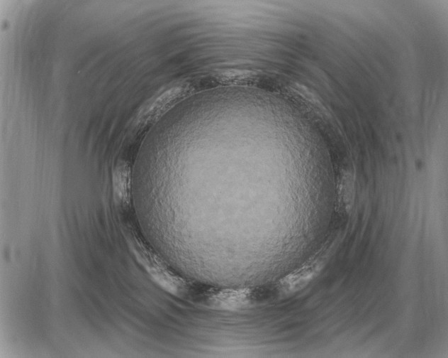 X0000087700138200705181829
