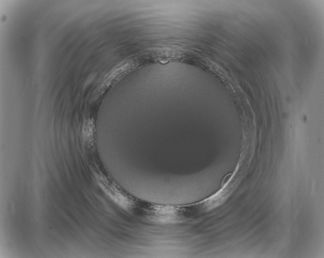 X0000087700144200705181829