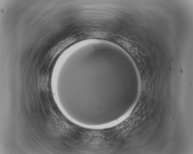 X0000087700146200705181828