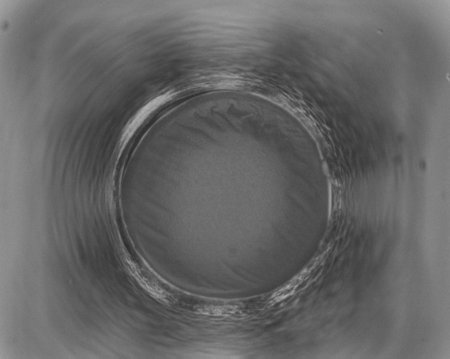 X0000087700147200705181828