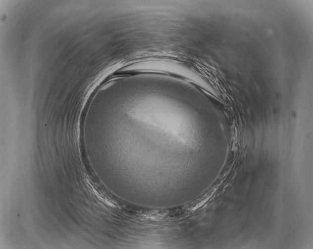 X0000087700148200705181828