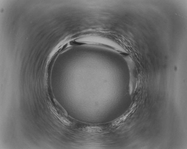 X0000087700150200705181828