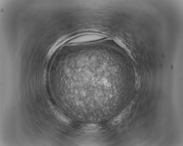 X0000087700151200705181828