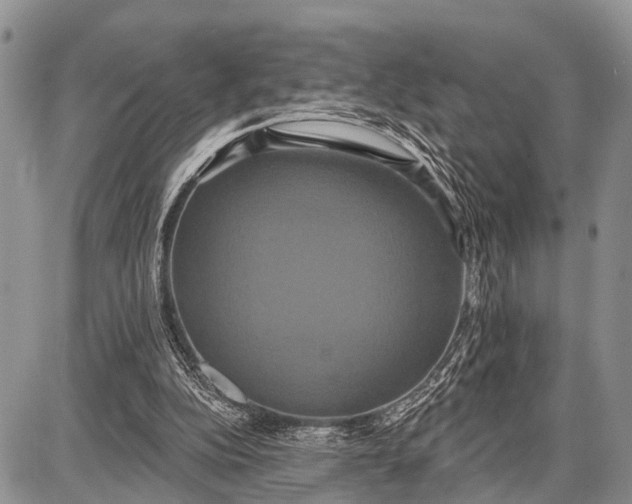 X0000087700152200705181828