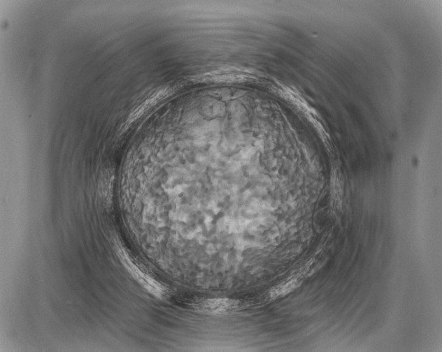 X0000087700153200705181828