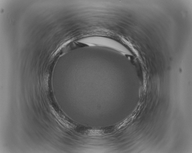 X0000087700154200705181828