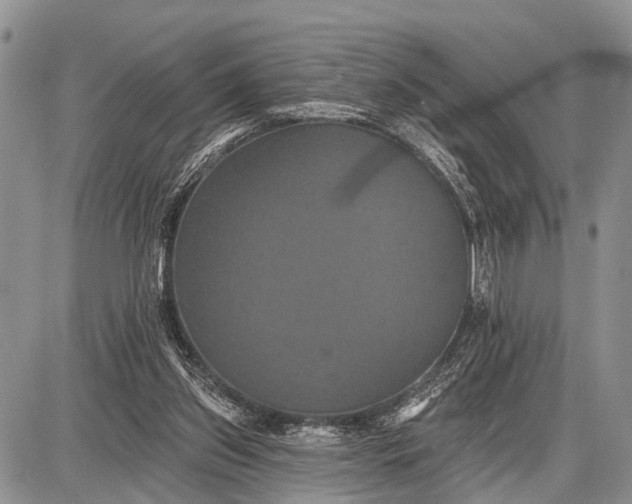 X0000087700157200705181828