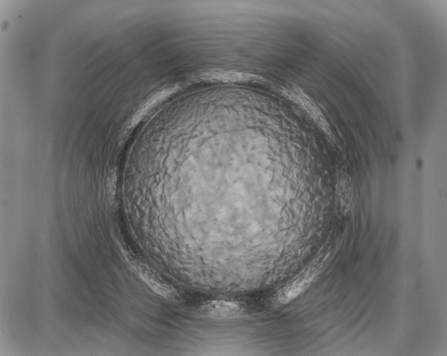 X0000087700159200705181828