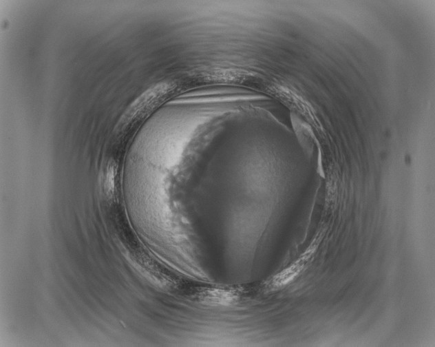X0000087700166200705181828