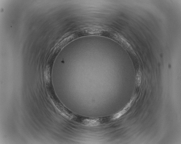 X0000087700170200705181828