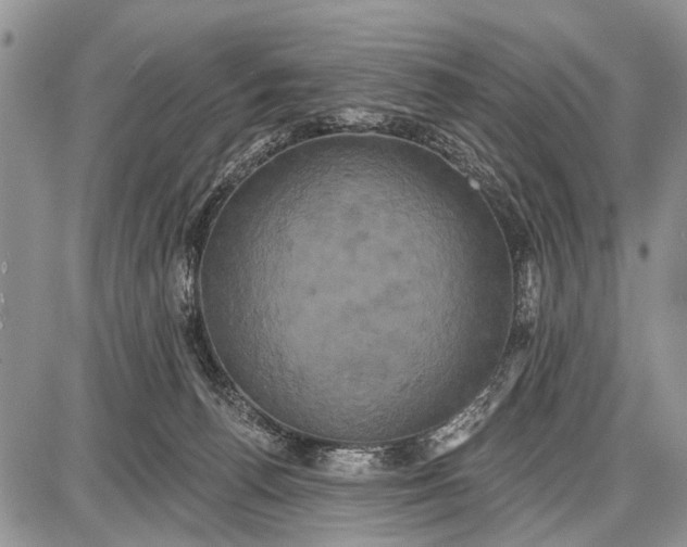 X0000087700176200705181829