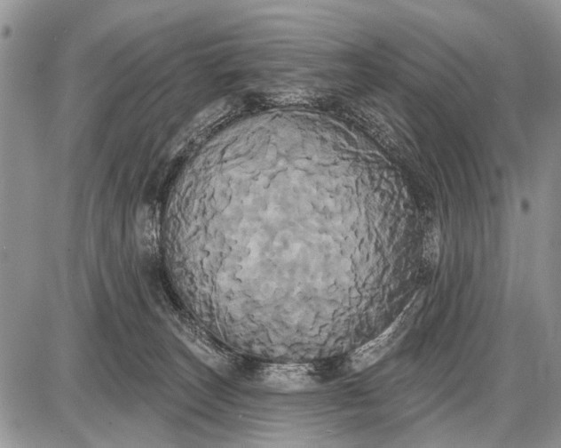 X0000087700179200705181829